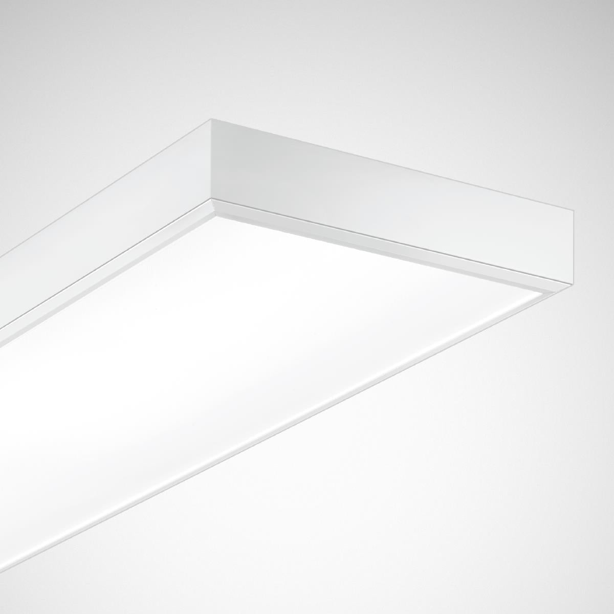 Trilux LED-Sporthallenleuchte 4000K DALI Actison Fit, Art.-Nr. 7237951