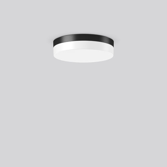 RZB Zimmermann LED-Wand u.Deckenleuchte 830/840 ML DALI ant., Art.-Nr. 312630.0031.76