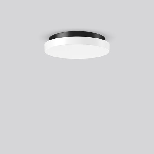 RZB Zimmermann LED-Wand u.Deckenleuchte 830/840 ML s+f anthr, Art.-Nr. 312635.0031.730