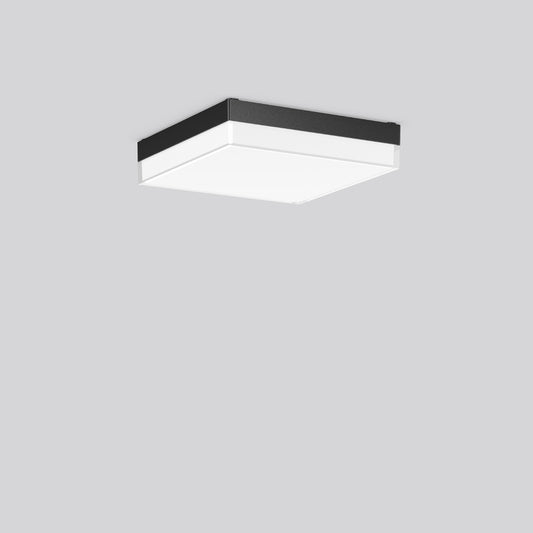 RZB Zimmermann LED-Wand u.Deckenleuchte 830/840 ML Sen. ant., Art.-Nr. 312665.0031.19
