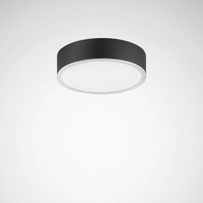Trilux LED-Anbaudownlight 4000K Onplana D07, Art.-Nr. 6457440