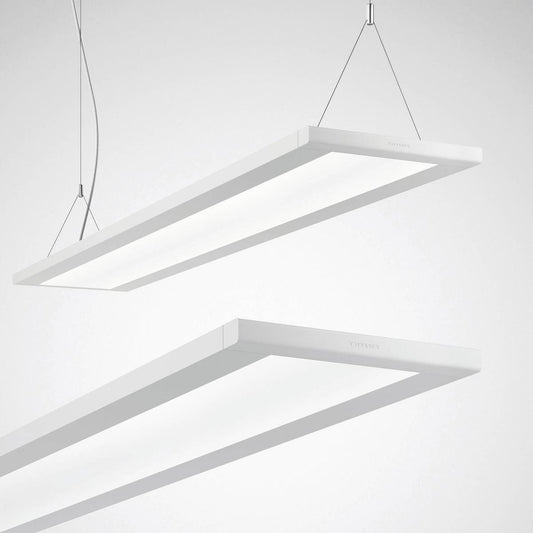 Trilux LED-Anbau/Pendel-Leuchte 3000K DALI Luceos D/H2, Art.-Nr. 7017651