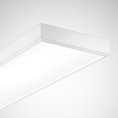 Trilux LED-Sporthallenleuchte 4000K DALI Actison Fit, Art.-Nr. 7237951