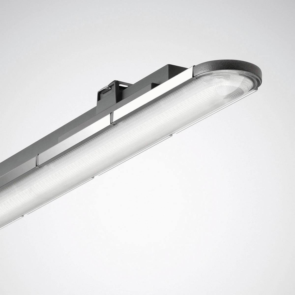 Trilux LED-Feuchtraumleuchte 4000K anthrazit Nextrema G3, Art.-Nr. 7367840