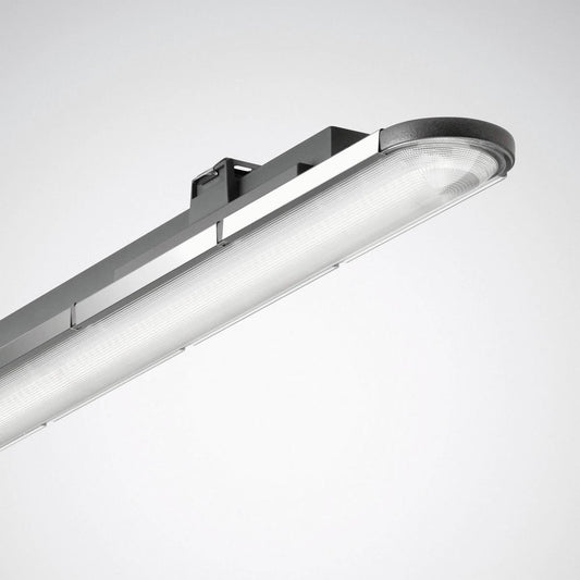 Trilux LED-Feuchtraumleuchte 4000K DALI anthr. Nextrema G3, Art.-Nr. 7368151