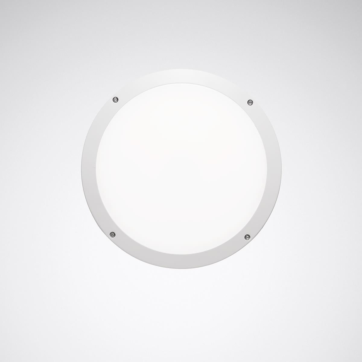 Trilux LED-Wand-/Deckenleuchte Skeo Circ M, Art.-Nr. 7578040