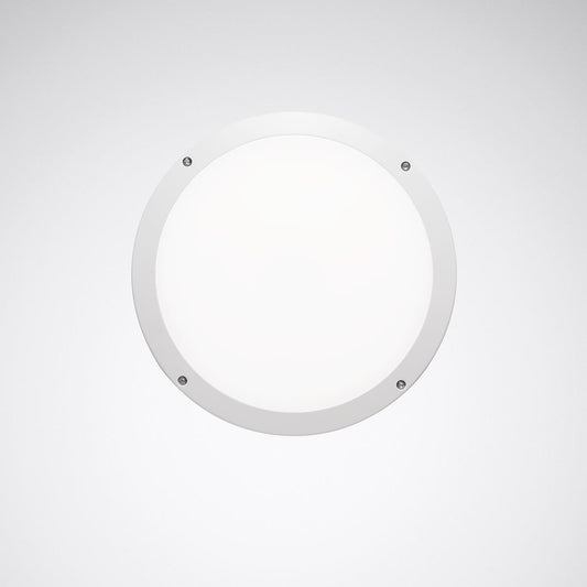 Trilux LED-Wand-/Deckenleuchte DALI Skeo Circ M, Art.-Nr. 7578151