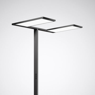 Trilux LED-Stehleuchte 830 DALI sw Luceos S-U, Art.-Nr. 7704351