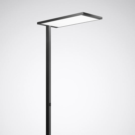 Trilux LED-Stehleuchte 840, schwarz Luceos S G2, Art.-Nr. 7940558