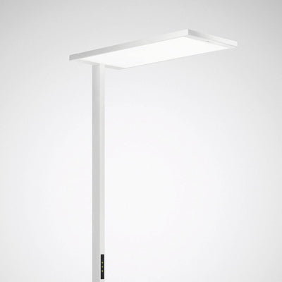 Trilux LED-Stehleuchte 830, weiß Luceos S G2, Art.-Nr. 7941459