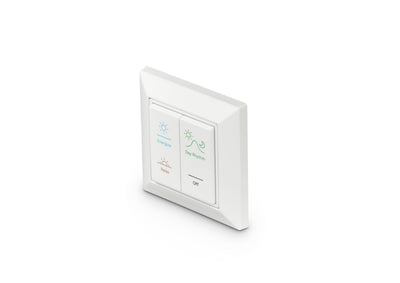 Philips Lighting Signify PLS Nature Connect Zubehör Funkschalter LP911P NC2, Art.-Nr. 8720169108455
