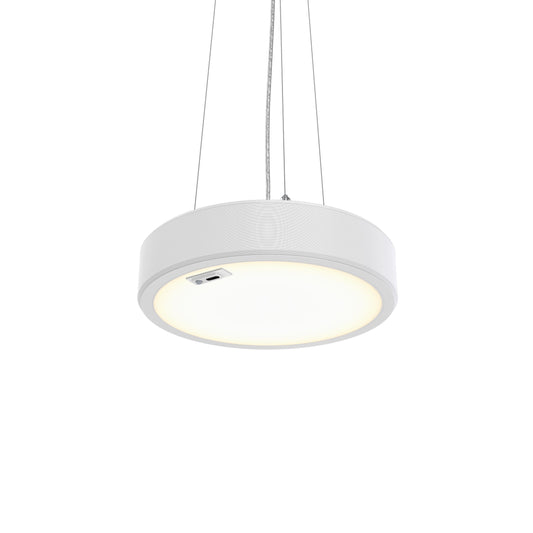 Philips Lighting Signify PLS 3D-LED-Leuchte 940 TCBRMP 19S, Art.-Nr. 8720169864313
