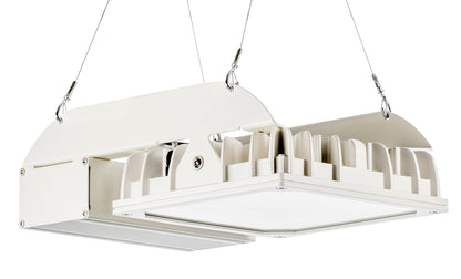 PRO LED-Hallenstrahler 86580221 QUADRONIUS #86580221 – Produktbild
