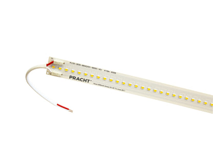 Austauschset LED-Modul 5552309 LED-ModulONE#5552309 – Produktbild