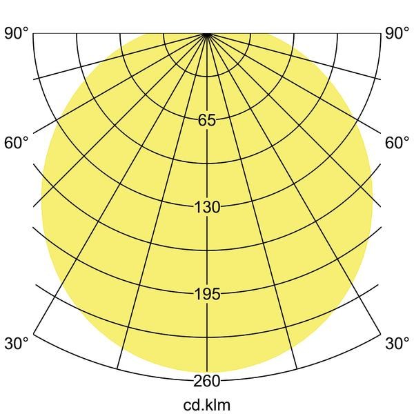 Lichtverteilungskurve