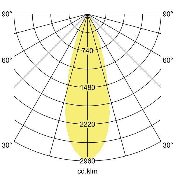 Lichtverteilungskurve